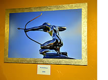 Eccentric Artist Gallery - Paonia, CO